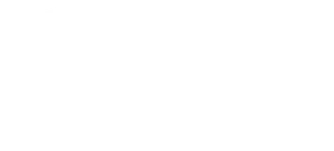 The Leaders Institute logo