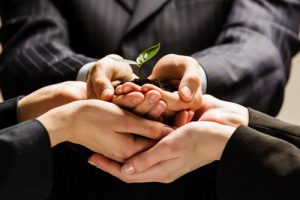 5 Characteristics of Highly Effective Teams