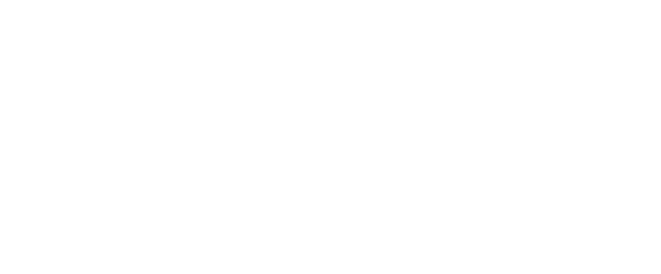 Rescue Bear Team Building Event