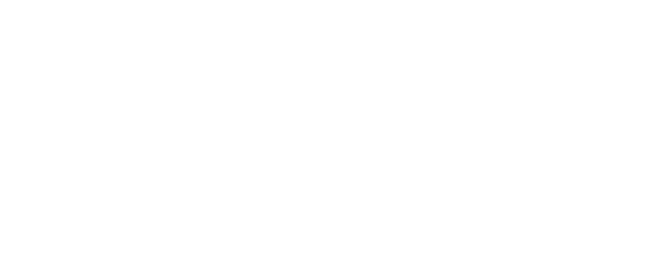 The Ace Race Logo