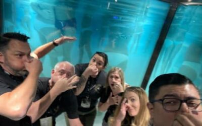 Why Do We Need Team Building? The Benefits of Team Activities to Your Business