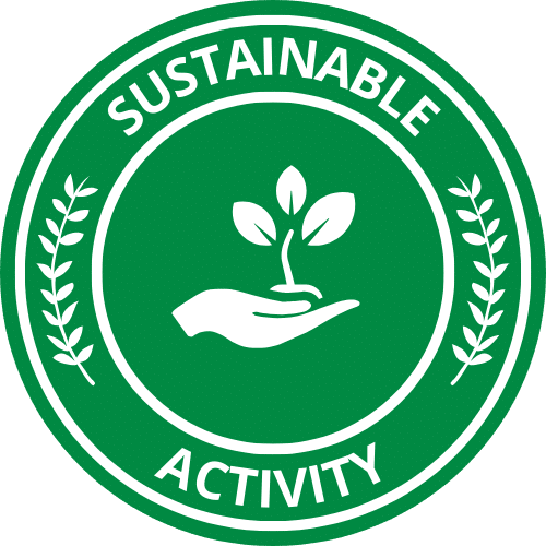 sustainable activity icon