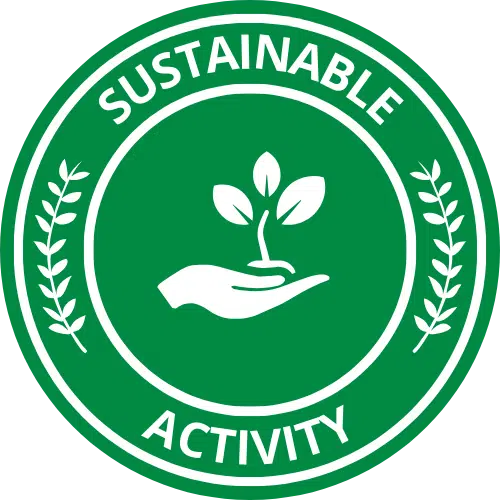 sustainable activity icon