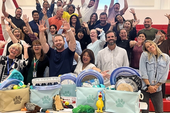 Tail-Wagging Fun that Builds Teamwork