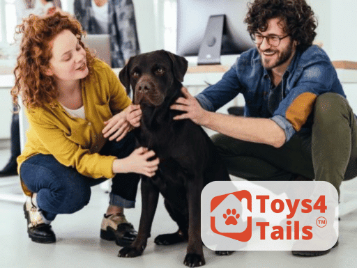 Toys for Tails Team Building Activity