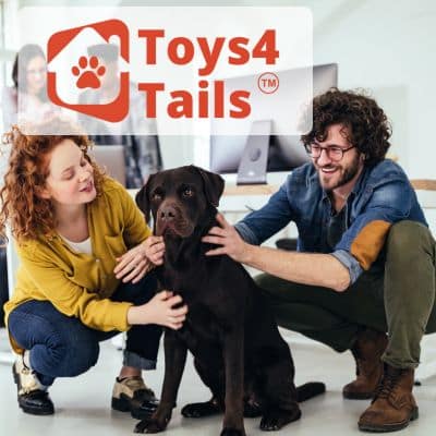 Toys4Tails Self Facilitated
